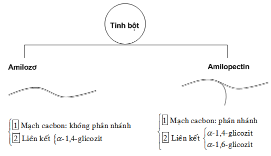 567216[LG].png
